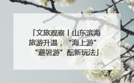 文旅观察丨山东滨海旅游升温，“海上游”“避暑游”酝新玩法