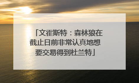 文霍斯特：森林狼在截止日前非常认真地想要交易得到杜兰特