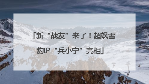 新“战友”来了！超飒雪豹IP“兵小宁”亮相