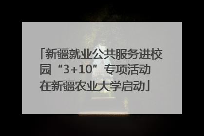 新疆就业公共服务进校园“3+10”专项活动在新疆农业大学启动