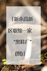 新余高新区取缔一家“黑鞋厂”(图)
