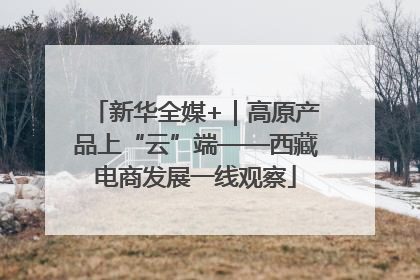 新华全媒+｜高原产品上“云”端——西藏电商发展一线观察