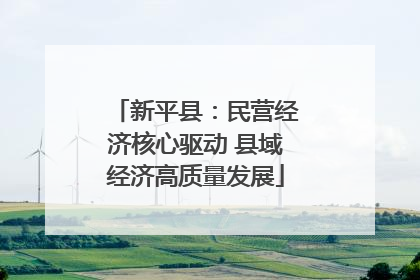 新平县：民营经济核心驱动 县域经济高质量发展