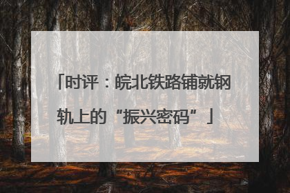时评：皖北铁路铺就钢轨上的“振兴密码”
