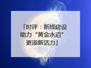 时评：新线建设助力“黄金水道”更添新活力