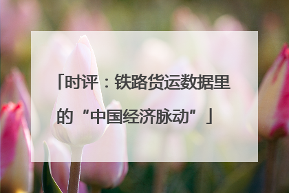 时评：铁路货运数据里的“中国经济脉动”