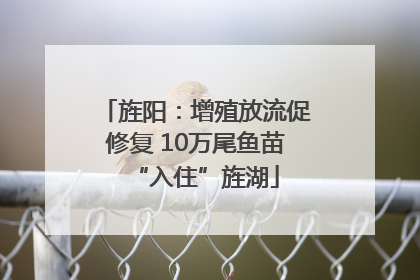 旌阳：增殖放流促修复 10万尾鱼苗“入住”旌湖