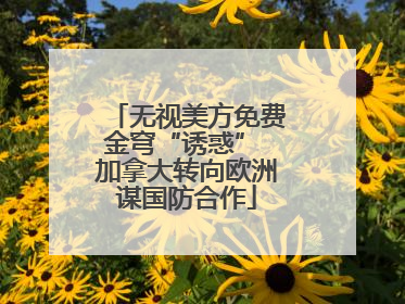 无视美方免费金穹“诱惑” 加拿大转向欧洲谋国防合作