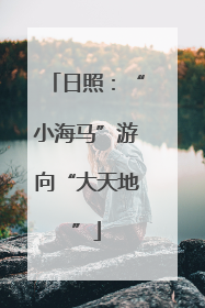 日照：“小海马”游向“大天地”