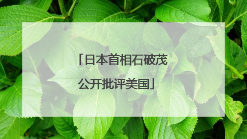 日本首相石破茂公开批评美国