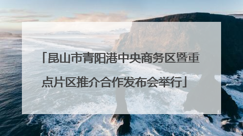 昆山市青阳港中央商务区暨重点片区推介合作发布会举行