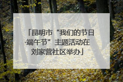 昆明市“我们的节日·端午节”主题活动在刘家营社区举办