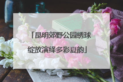 昆明郊野公园绣球绽放演绎多彩夏韵