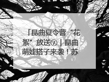 昆曲夏令营“花絮”放送⑦｜昆曲萌娃搭子来袭！苏州“小昆迷”姐弟期待同台演绎“姑苏水磨调”