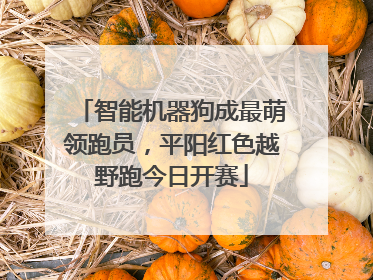 智能机器狗成最萌领跑员，平阳红色越野跑今日开赛