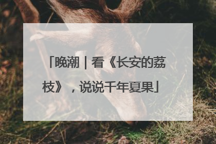 晚潮｜看《长安的荔枝》，说说千年夏果