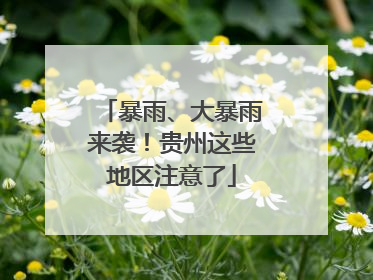 暴雨、大暴雨来袭！贵州这些地区注意了
