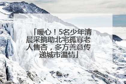 暖心！5名少年清晨采摘助北宅孤寡老人售杏，多方善意传递城市温情