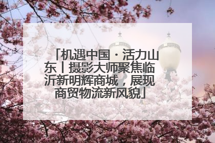 机遇中国・活力山东丨摄影大师聚焦临沂新明辉商城，展现商贸物流新风貌