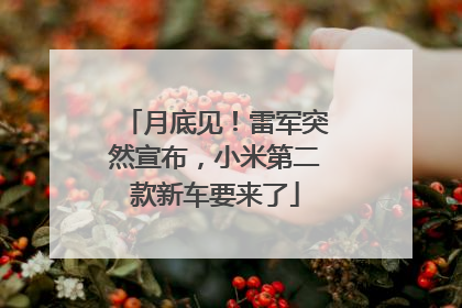 月底见！雷军突然宣布，小米第二款新车要来了