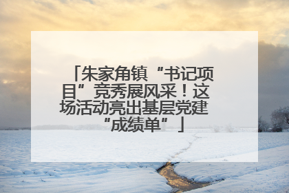 朱家角镇“书记项目”竞秀展风采！这场活动亮出基层党建“成绩单”