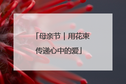 母亲节｜用花束传递心中的爱