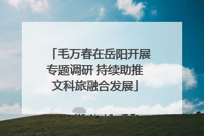 毛万春在岳阳开展专题调研 持续助推文科旅融合发展
