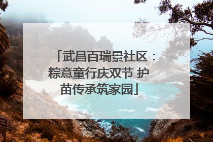 武昌百瑞景社区：粽意童行庆双节 护苗传承筑家园