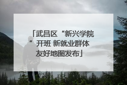 武昌区“新兴学院”开班 新就业群体友好地图发布