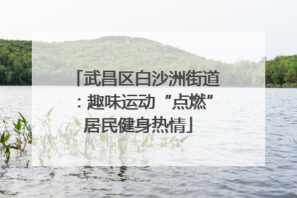 武昌区白沙洲街道：趣味运动“点燃”居民健身热情