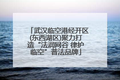 武汉临空港经开区(东西湖区)聚力打造“法润网谷 律护临空”普法品牌