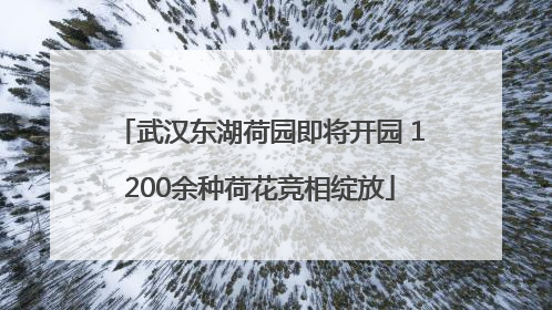 武汉东湖荷园即将开园 1200余种荷花竞相绽放