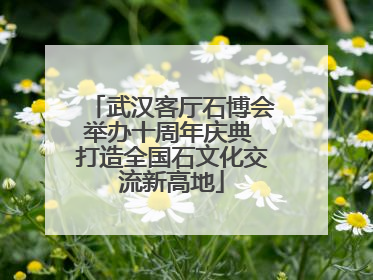 武汉客厅石博会举办十周年庆典 打造全国石文化交流新高地