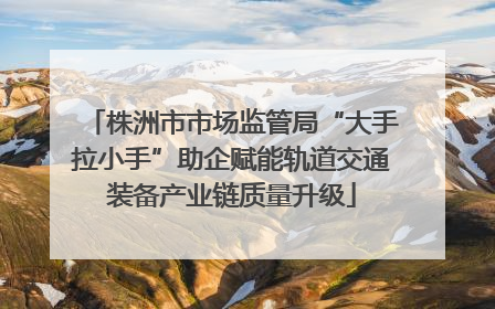 株洲市市场监管局“大手拉小手”助企赋能轨道交通装备产业链质量升级