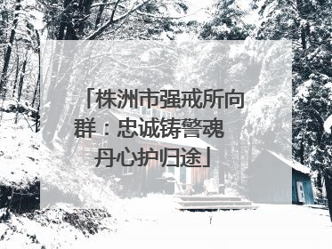 株洲市强戒所向群：忠诚铸警魂 丹心护归途