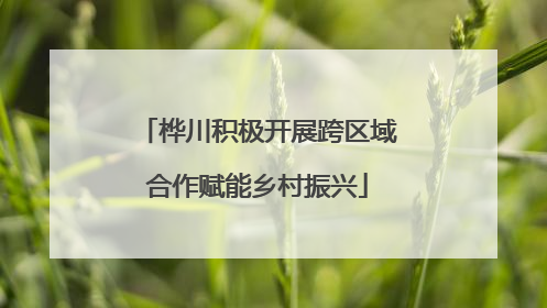 桦川积极开展跨区域合作赋能乡村振兴