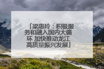 梁惠玲：积极服务和融入国内大循环 加快推动龙江高质量振兴发展