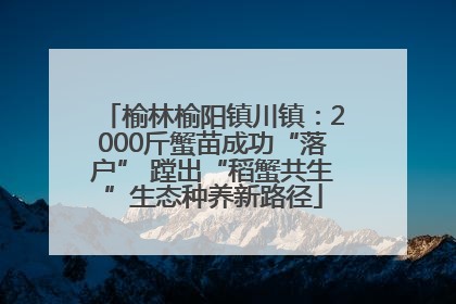 榆林榆阳镇川镇：2000斤蟹苗成功“落户” 蹚出“稻蟹共生”生态种养新路径