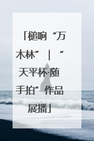 槌响“万木林”｜“天平杯·随手拍”作品展播