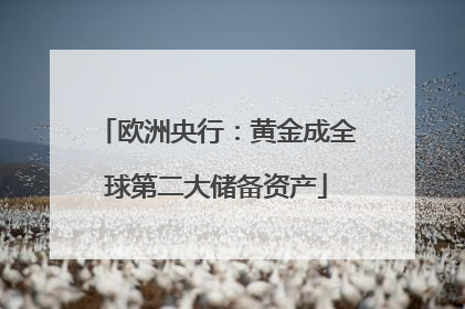 欧洲央行：黄金成全球第二大储备资产