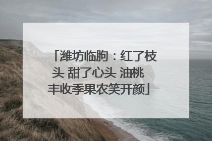 潍坊临朐：红了枝头 甜了心头 油桃丰收季果农笑开颜