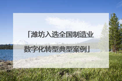 潍坊入选全国制造业数字化转型典型案例