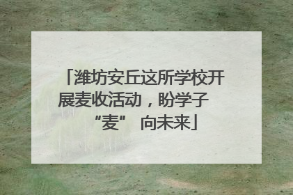 潍坊安丘这所学校开展麦收活动，盼学子 “麦” 向未来