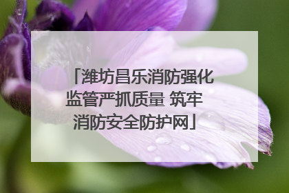 潍坊昌乐消防强化监管严抓质量 筑牢消防安全防护网