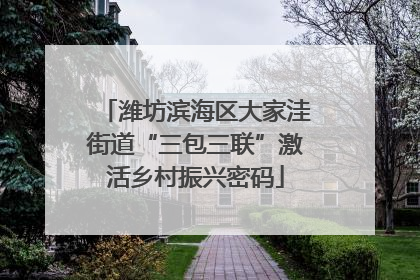 潍坊滨海区大家洼街道“三包三联”激活乡村振兴密码