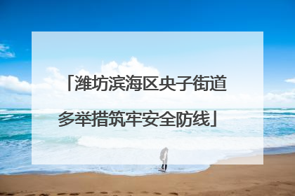 潍坊滨海区央子街道多举措筑牢安全防线
