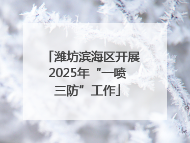 潍坊滨海区开展2025年“一喷三防”工作