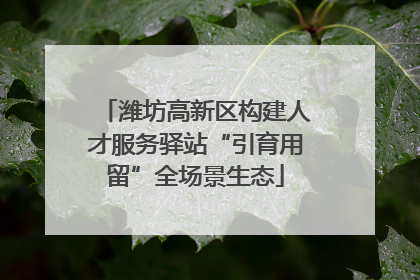 潍坊高新区构建人才服务驿站“引育用留”全场景生态