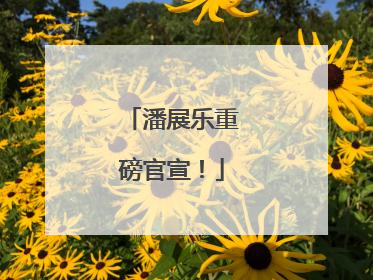 潘展乐重磅官宣！
