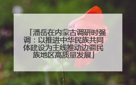 潘岳在内蒙古调研时强调：以推进中华民族共同体建设为主线推动边疆民族地区高质量发展
